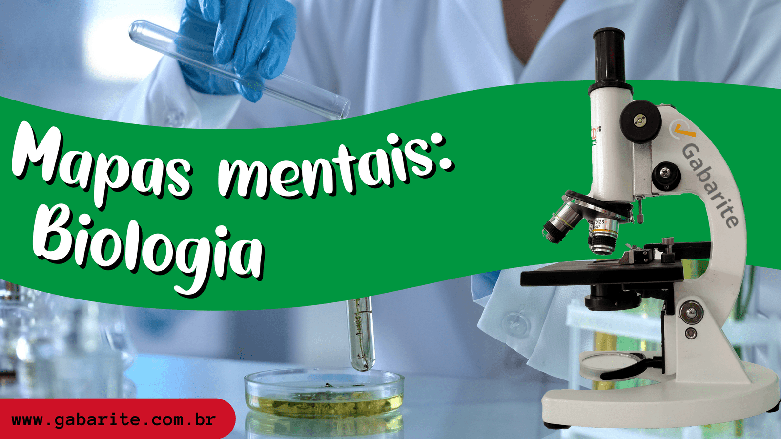 Biologia - 60 Mapas Mentais + 20.000 Questões + 6 E-books